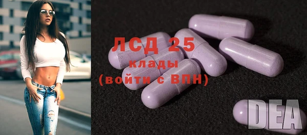 гашик Ачинск