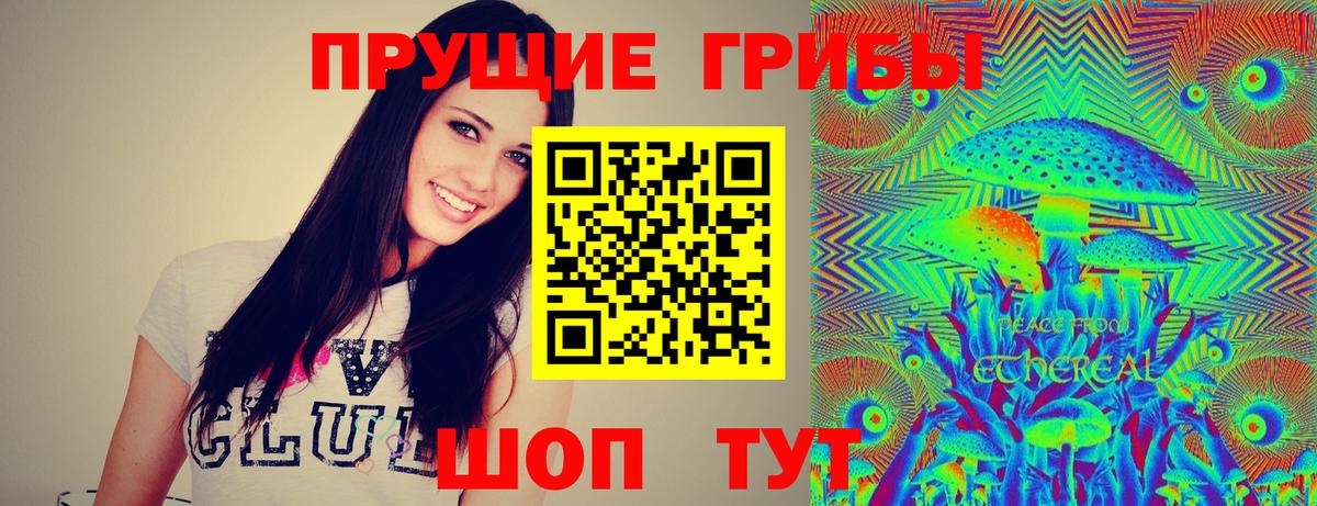 Псилоцибиновые грибы прущие грибы Амурск