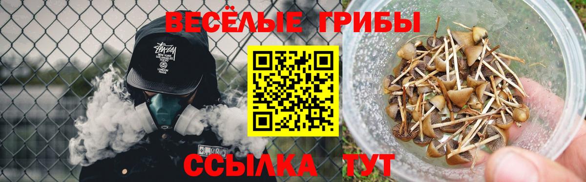 Амурск  Псилоцибиновые грибы мицелий  Вход с VPN 