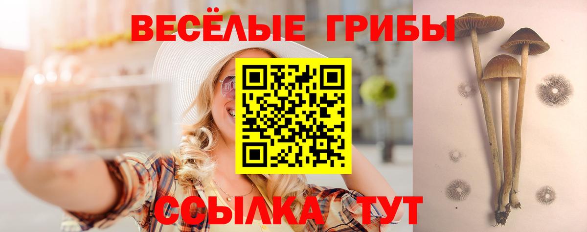 Псилоцибиновые грибы мухоморы Амурск